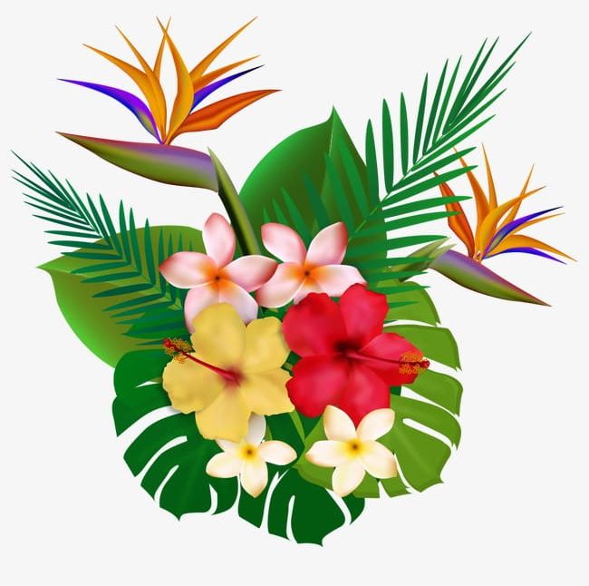 Tropical Plants PNG, Clipart, Elements, Flower, Flowers, Plant, Plants ...