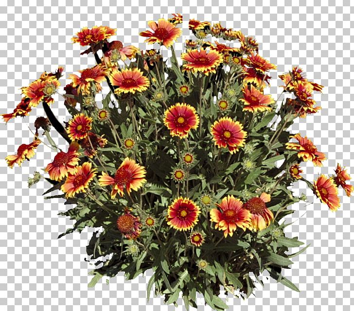 Floral Design Cut Flowers Flower Bouquet Interflora PNG, Clipart, Chrysanthemum, Chrysanths, Cut Flowers, Daisy Family, Floral Design Free PNG Download