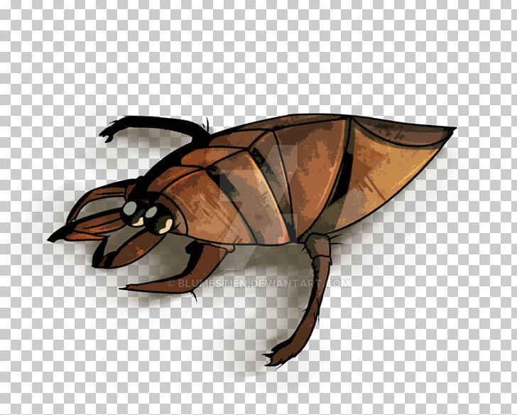Insect Giant Water Bugs Drawing Graphics PNG, Clipart, Animal, Butterfly, Download, Drawing, Insect Free PNG Download