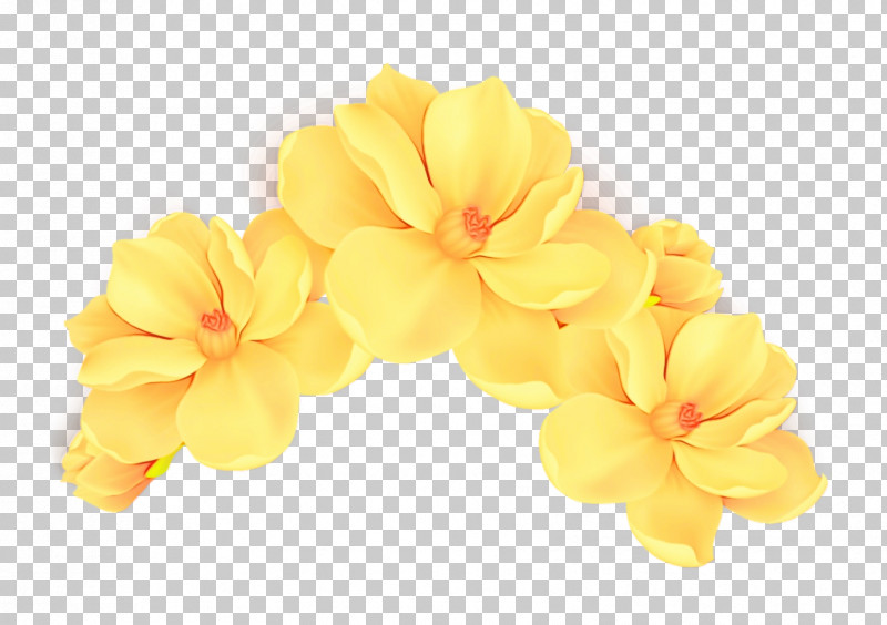 Cut Flowers Yellow Flower PNG, Clipart, Cut Flowers, Flower, Paint, Watercolor, Wet Ink Free PNG Download