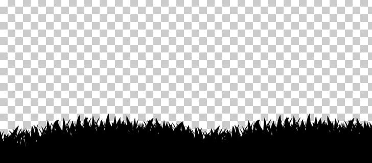 Black Desktop Silhouette White Tree PNG, Clipart, Black, Black And White, Black M, Computer, Computer Wallpaper Free PNG Download