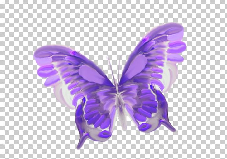 Butterfly Insect Greta Oto PNG, Clipart, Art, Butterflies And Moths, Butterfly, Desktop Wallpaper, Drawing Free PNG Download