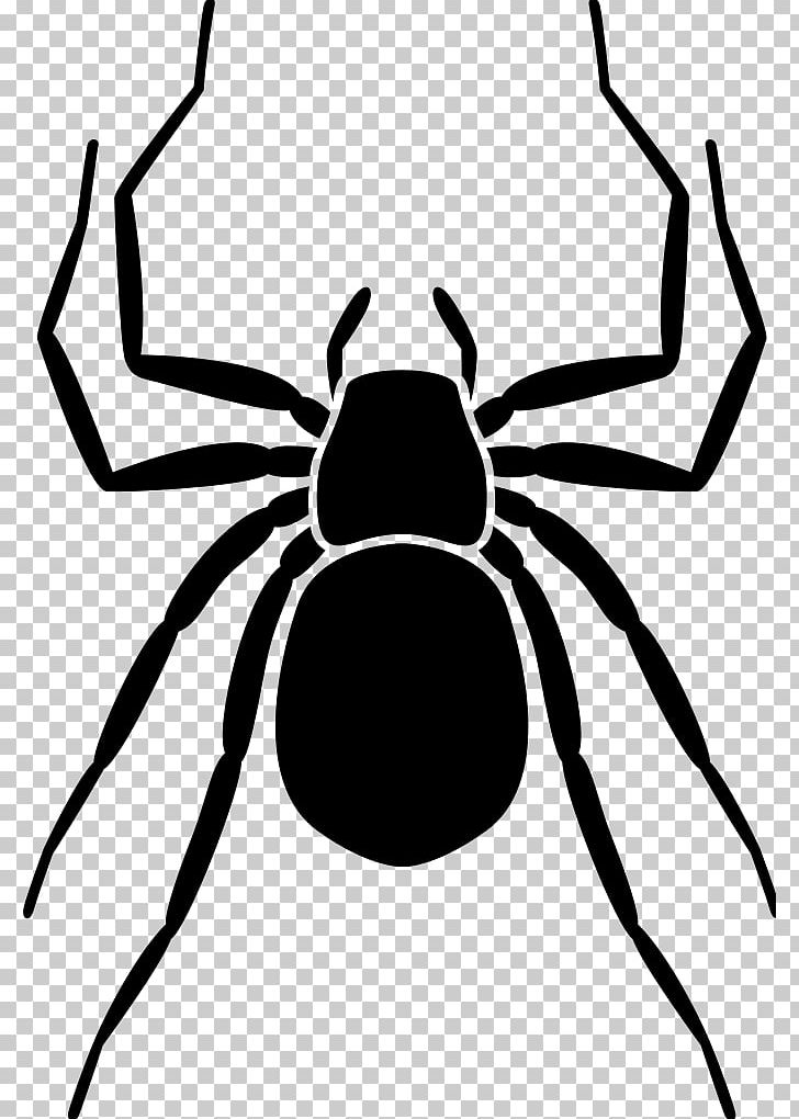 Homo Sapiens Earth Spider PNG, Clipart, Arachnid, Arthropod, Artwork, Black And White, Boatman Free PNG Download