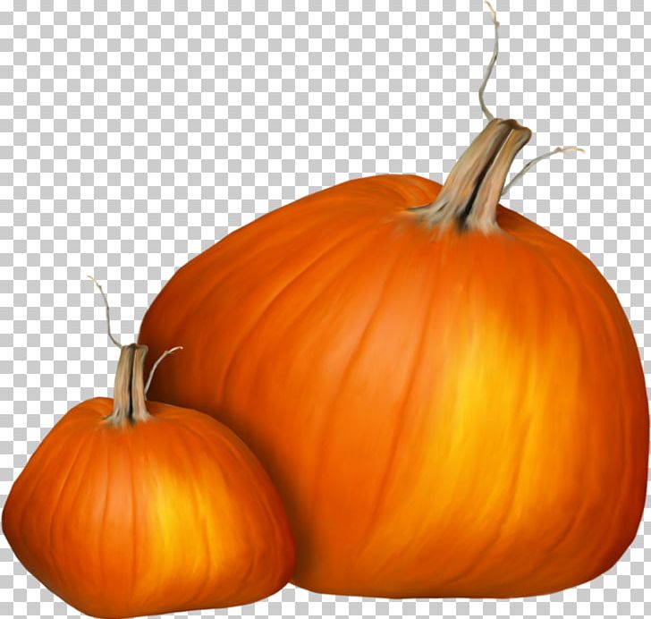 Jack-o'-lantern Calabaza Pumpkin Gourd Squash PNG, Clipart, Beautiful, Calabaza, Commodity, Cucumber Gourd And Melon Family, Cucurbita Free PNG Download