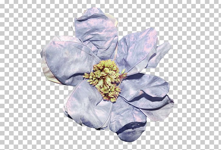 Petal Cut Flowers Rosaceae Rose Common Lilac PNG, Clipart, Common Lilac, Cut Flowers, Ele, Element, Flower Free PNG Download
