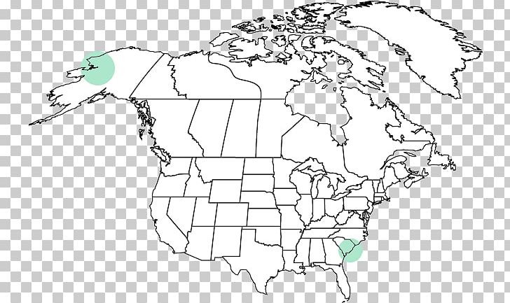 United States Blank Map South America World Map PNG, Clipart, America, Americas, Area, Artwork, Black And White Free PNG Download