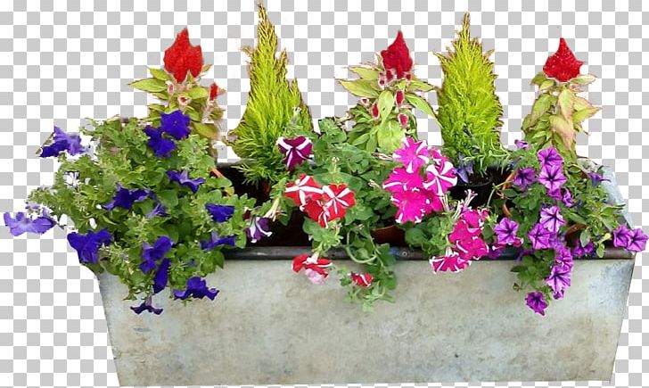 Flowerpot Flower Box Flower Garden PNG, Clipart, Annual Plant, Artificial Flower, Box, Conta, Cut Flowers Free PNG Download