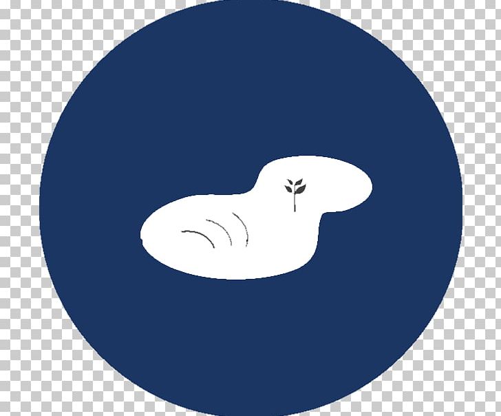 Illustration Marine Mammal Desktop Product PNG, Clipart, Blue, Character, Circle, Computer, Computer Wallpaper Free PNG Download