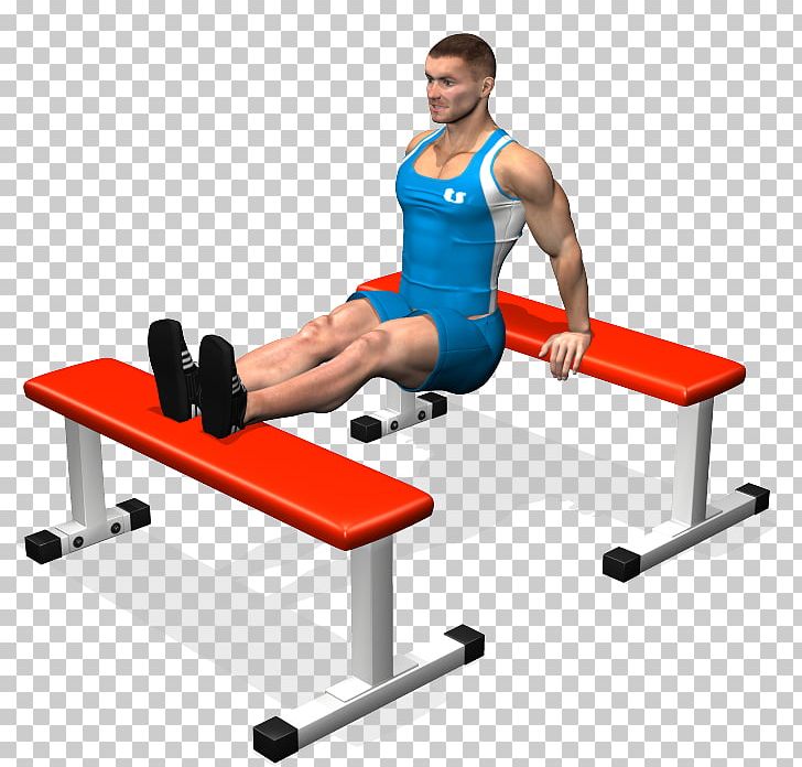 Shoulder Triceps Brachii Muscle Lying Triceps Extensions Dip PNG, Clipart, Arm, Balance, Bench, Biceps, Dip Free PNG Download