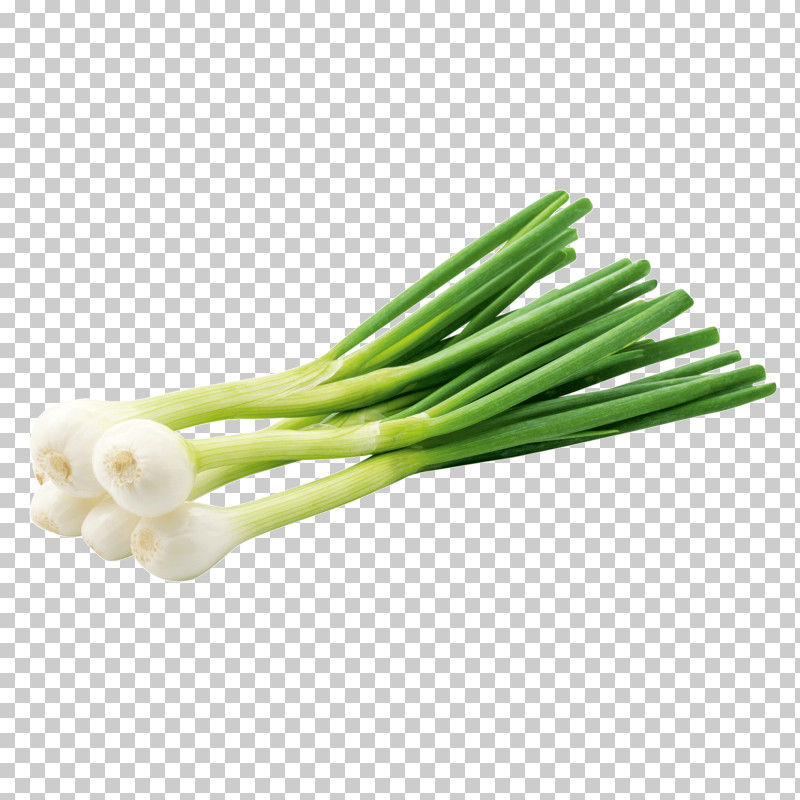 Vegetable Welsh Onion Leek Scallion Food PNG, Clipart, Allium, Amaryllis Family, Celery, Chives, Food Free PNG Download