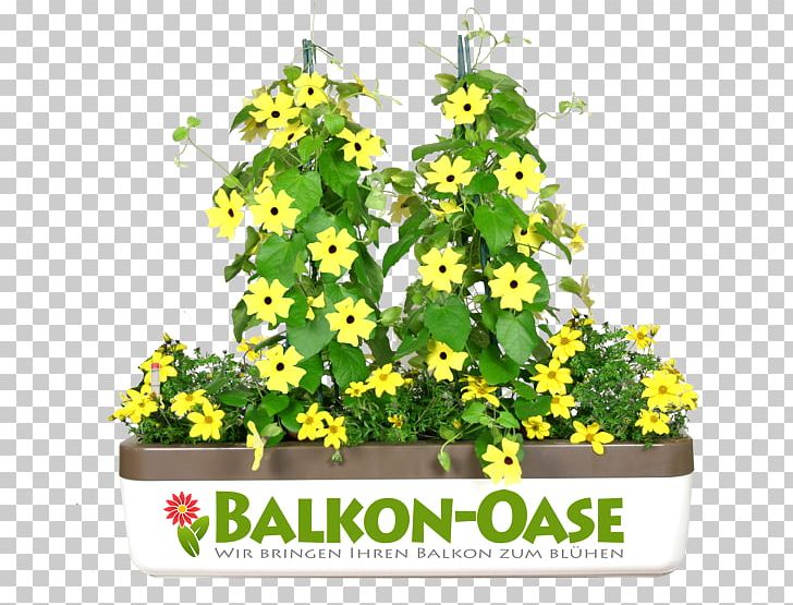Flowerpot Balcony Furniture Terrace Houseplant PNG, Clipart, Annual Plant, Balcony, Bedroom, Cut Flowers, Flora Free PNG Download