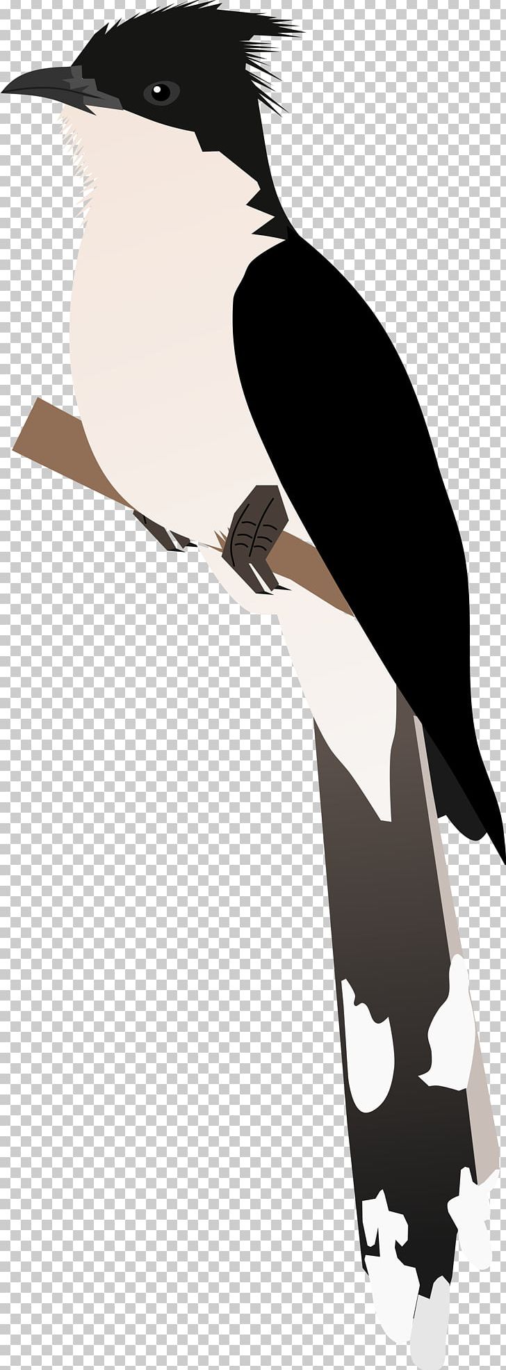 Beak Flightless Bird Silhouette PNG, Clipart, Animals, Beak, Bird, Black, Black And White Free PNG Download