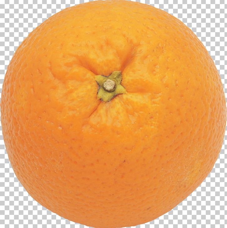 Mandarin Orange Clementine Tangelo Grapefruit Tangerine PNG, Clipart, Bitter Orange, Calabaza, Cara Cara Navel, Citric Acid, Citrus Free PNG Download