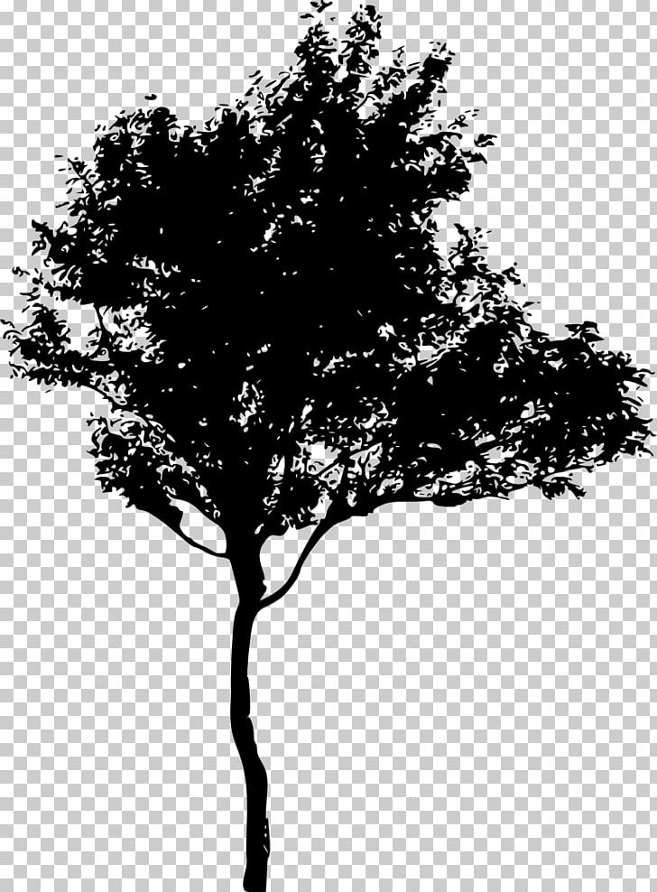 Silhouette Tree PNG, Clipart, Animals, Black And White, Branch, Leaf, Mangrove Free PNG Download