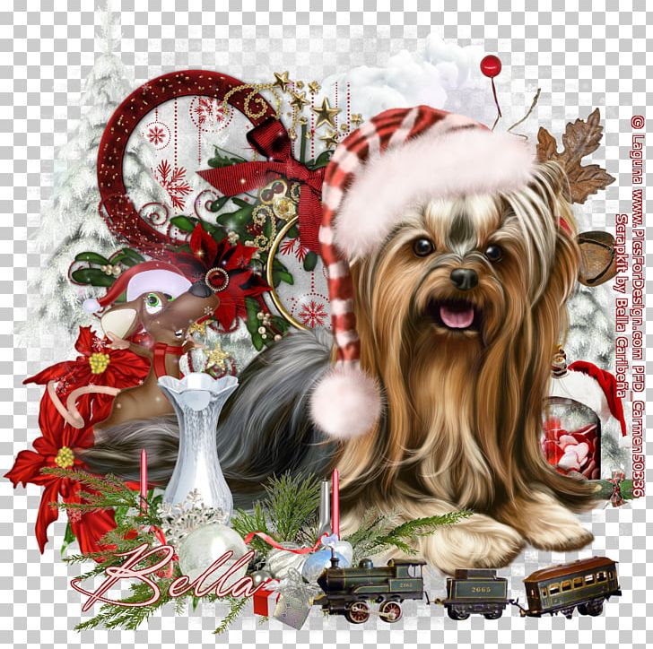 Yorkshire Terrier Dog Breed Christmas Ornament Companion Dog Toy Dog PNG, Clipart, Breed, Carnivoran, Christmas, Christmas Decoration, Christmas Ornament Free PNG Download