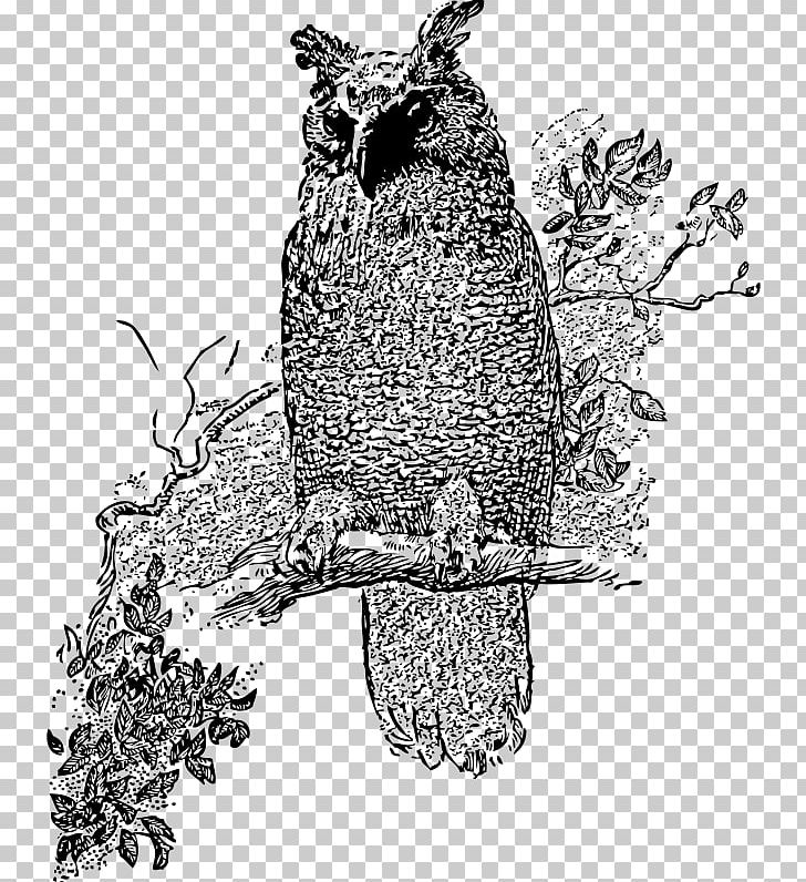 Great Horned Owl Bird Barred Owl PNG, Clipart, Animals, Art, Barred Owl, Beak, Bird Free PNG Download