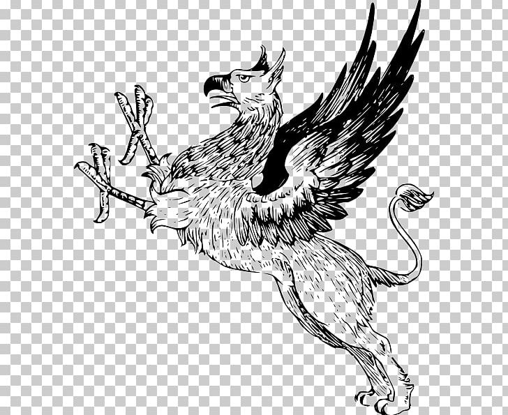 Griffin PNG, Clipart, Bird, Carnivoran, Cat Like Mammal, Chicken, Dog Like Mammal Free PNG Download