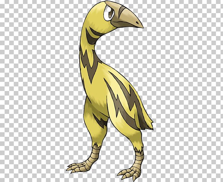 Beak Bird Of Prey Pokémon Cassowary PNG, Clipart, 24 August, Beak, Bird, Bird Of Prey, Cassowary Free PNG Download