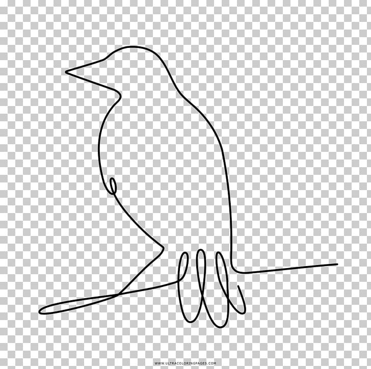 Drawing Coloring Book Common Raven Bird PNG, Clipart, Angle, Animal, Animals, Area, Artwork Free PNG Download