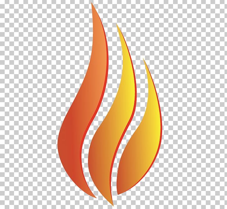Flame Fire PNG, Clipart, Color, Colored Fire, Computer Icons, Computer Wallpaper, Fire Free PNG Download
