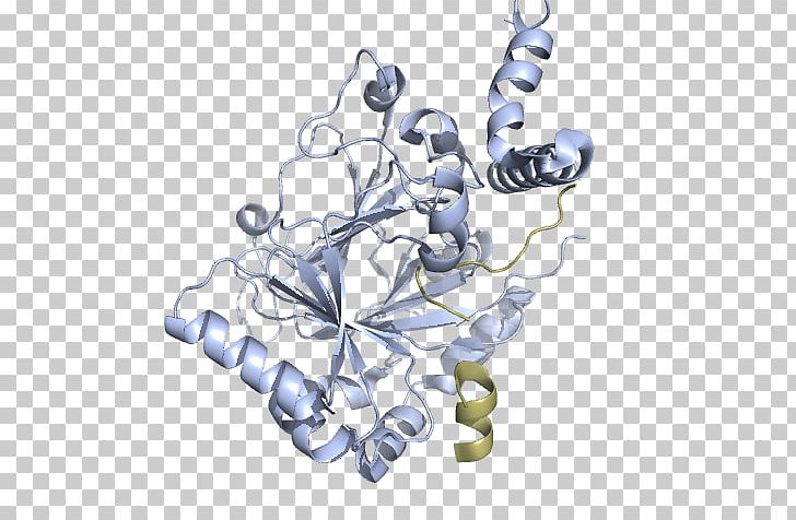 HIF1A PAS Domain Aryl Hydrocarbon Receptor Nuclear Translocator Protein PNG, Clipart, Body Jewellery, Body Jewelry, Character, Computer, Computer Wallpaper Free PNG Download