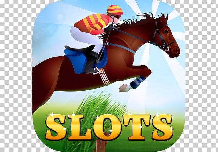 Thoroughbred Equestrian Horse Racing Show Jumping Jockey PNG, Clipart, Animal Sports, Apk, Derby, Derby Day, English Riding Free PNG Download