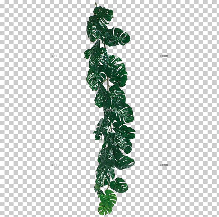 Jungle Old-growth Forest Green Leaf Liana PNG, Clipart, Common Grape Vine, Dekomarktde Walter Langnickel Gmbh, Flower, Foil, Garland Free PNG Download