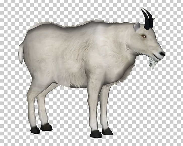 Mountain Goat Animal Platypus PNG, Clipart, Animal, Animals, Antelope, Caprinae, Cattle Like Mammal Free PNG Download
