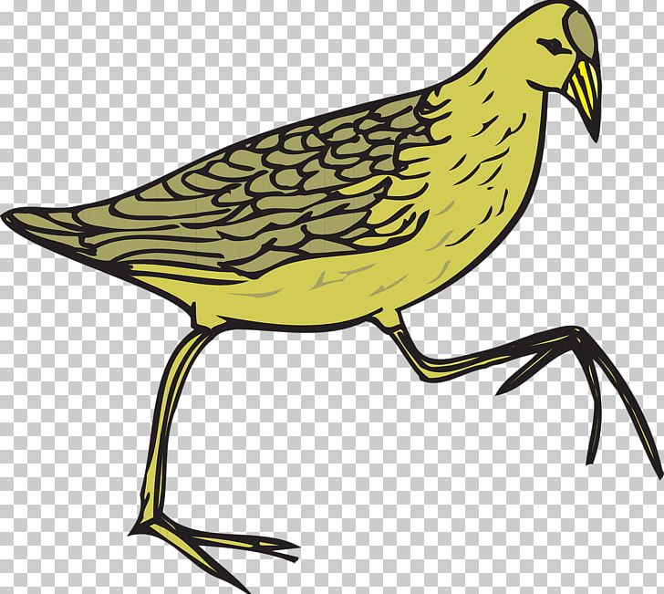 Common Quail Common Moorhen Bird Brown Quail PNG, Clipart, Animals, Animation, Artwork, Beak, Bird Free PNG Download