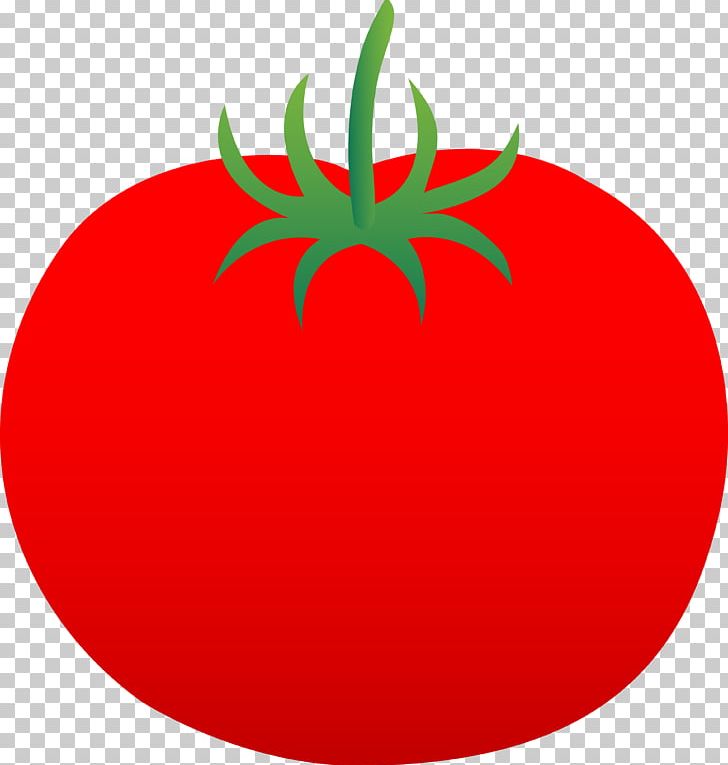 Tomato Apple Leaf Flower PNG, Clipart, Apple, Circle, Flower, Flowering Plant, Food Free PNG Download