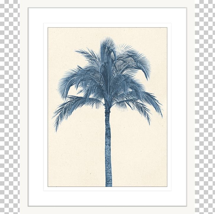Arecaceae Coconut Tree Stock Photography Date Palm PNG, Clipart, Alamy, Arecaceae, Arecales, Coconut, Date Palm Free PNG Download
