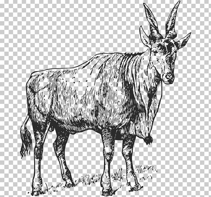 Goat Cattle Computer Icons PNG, Clipart, Aquarius, Black And White, Cattle, Cattle Like Mammal, Computer Icons Free PNG Download