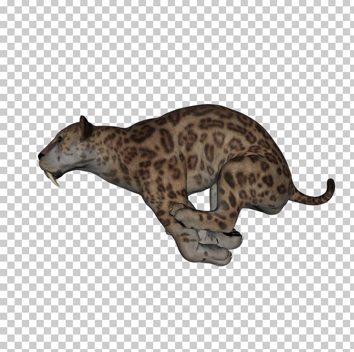 Leopard Big Cat Terrestrial Animal Puma PNG, Clipart, Animal, Animal Figure, Animals, Big Cat, Big Cats Free PNG Download