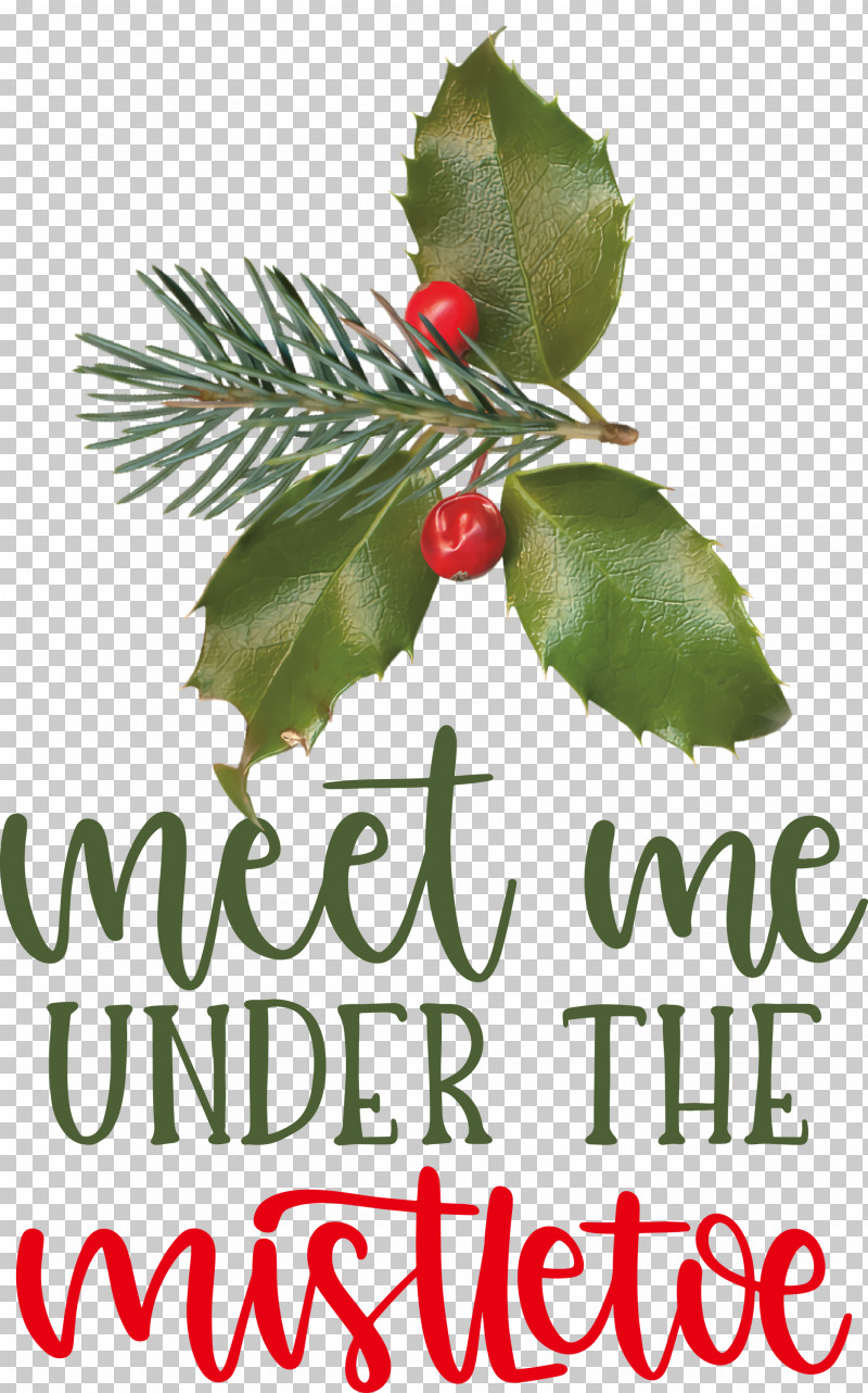 Meet Me Under The Mistletoe Mistletoe PNG, Clipart, Aquifoliales, Christmas Day, Christmas Ornament, Christmas Ornament M, Fruit Free PNG Download