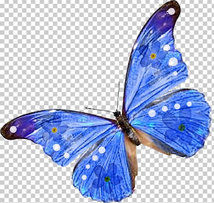 Butterfly Insect Desktop PNG, Clipart, Arthropod, Brush Footed Butterfly, Butterfly, Color, Desktop Wallpaper Free PNG Download
