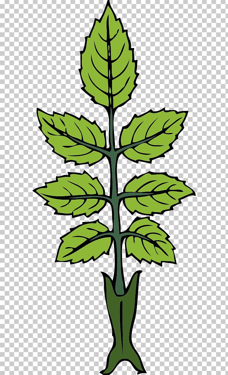 Rose Leaf PNG, Clipart, Artwork, Blog, Branch, Computer Icons, Flora Free PNG Download