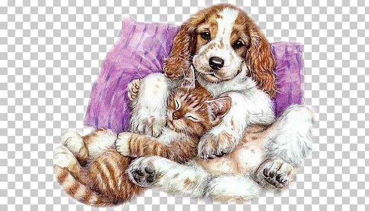 Animation Friendship YouTube PNG, Clipart, Animation, Carnivoran, Cartoon, Cat, Cockapoo Free PNG Download