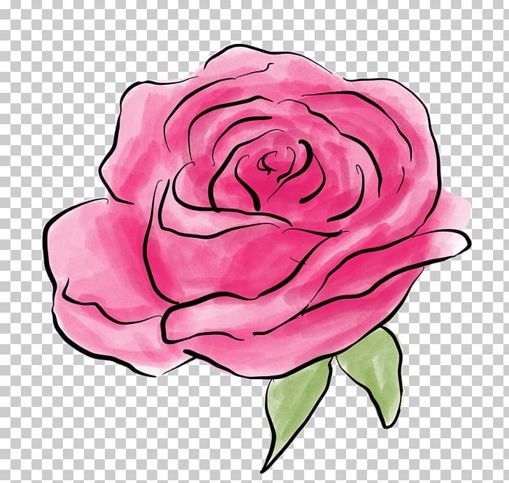 Garden Roses Cabbage Rose Illustration Drawing PNG, Clipart, Art, Artwork, Cut Flowers, Drawing, Flora Free PNG Download
