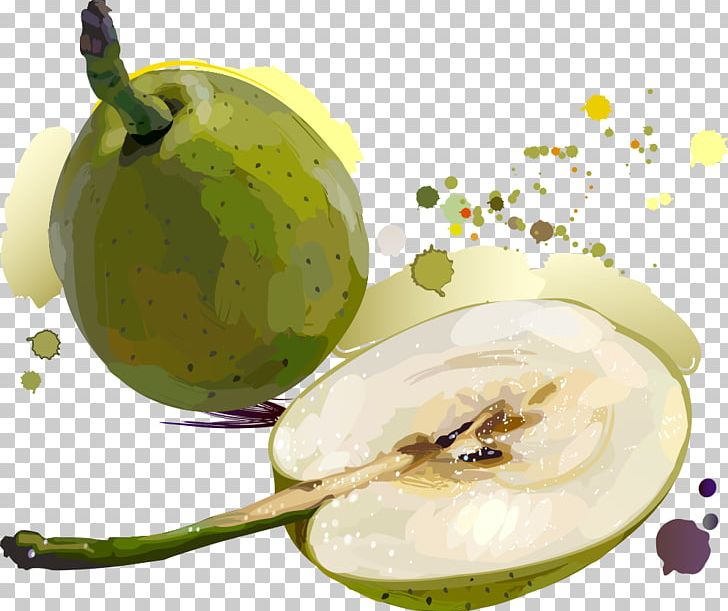 Golden Fruit Asian Pear Illustration PNG, Clipart, Apple, Apple Pears, Asian Pear, Cartoon, Cartoon Fruit Free PNG Download