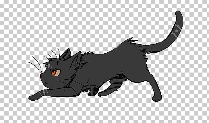 Kitten Black Cat Whiskers Warriors PNG, Clipart, Black, Black Cat, Breezepelt, Carnivoran, Cat Free PNG Download