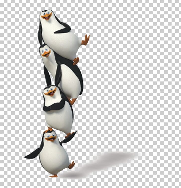 Penguin Madagascar Film Animation PNG, Clipart, Bird, Black, Cartoon, Cartoon Penguin, Color Free PNG Download