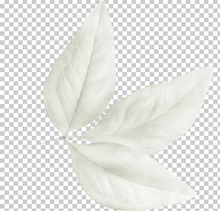 Petal Leaf White PNG, Clipart, Black And White, Flower, Leaf, Monochrome, Monochrome Photography Free PNG Download