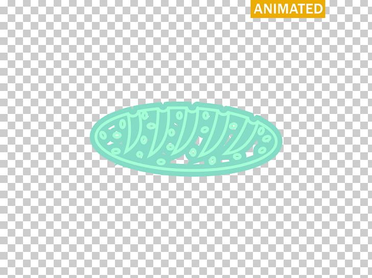 Product Design Oval M Tableware PNG, Clipart, Aqua, Green, Material, Others, Oval Free PNG Download