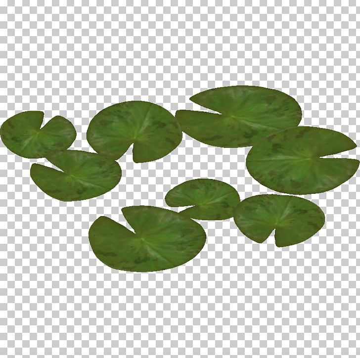 Water Lily 2011 Ford Ranger PNG, Clipart, 2011 Ford Ranger, Display Resolution, Download, Flower, Ford Ranger Free PNG Download
