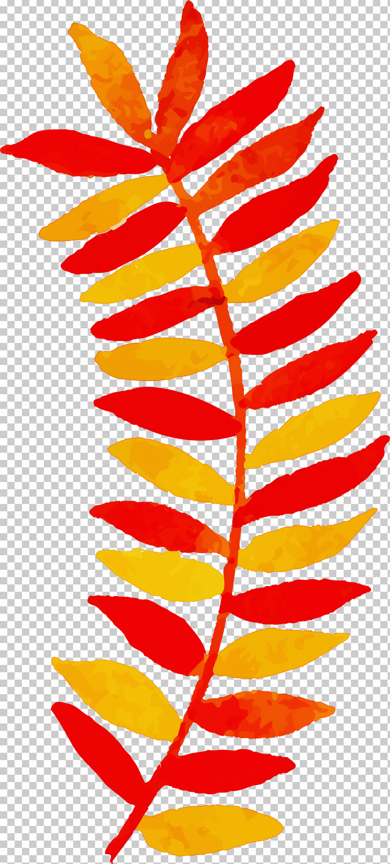 Autumn Leaf Colorful Leaf PNG, Clipart, Autumn Leaf, Biology, Colorful Leaf, Flora, Flower Free PNG Download