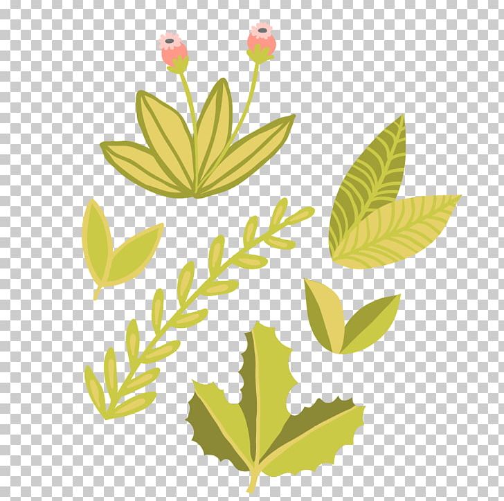 Leaf Photography PNG, Clipart, Background Green, Branch, Different, Fall Leaves, Flora Free PNG Download