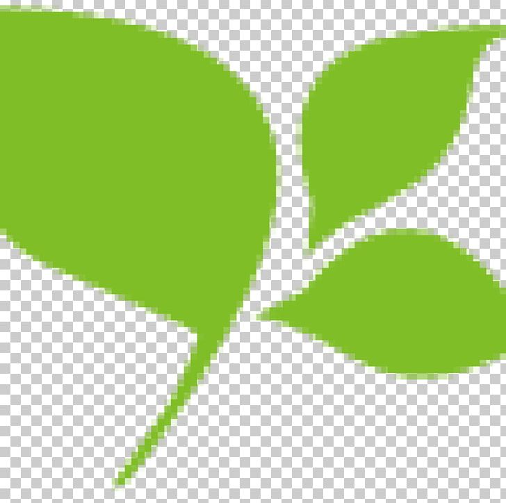 Leaf Plant Stem Green Font PNG, Clipart, Administrator, Grass, Green, Leaf, Line Free PNG Download