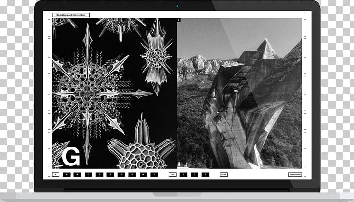 Paper Photography Frames Multimedia PNG, Clipart, Art, Black And White, Brand, Ernst Haeckel, Kunstdruck Free PNG Download