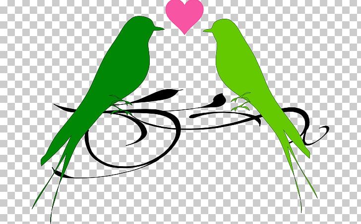 Lovebird PNG, Clipart, Beak, Bird, Birds Wedding Cliparts, Blue, Bluegreen Free PNG Download