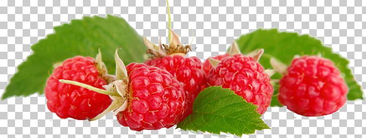 Raspberry Fruit Food Loganberry PNG, Clipart, Berry, Blackberry, Boysenberry, Food, Fruit Free PNG Download
